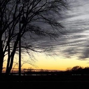 Meet your Posher, Joyce